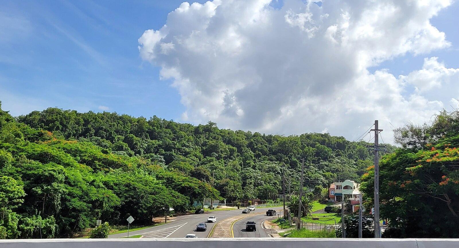 Carretera PR 140, intersección con la autopista PR 22, Barceloneta, Puerto Rico (5)