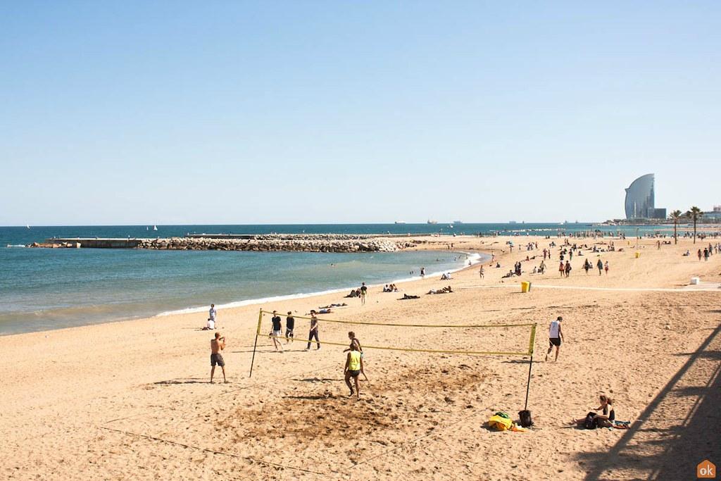 Barceloneta Municipal Council Freezes Service Fee Increases in 2026-27 Budget to Limit Household Costs