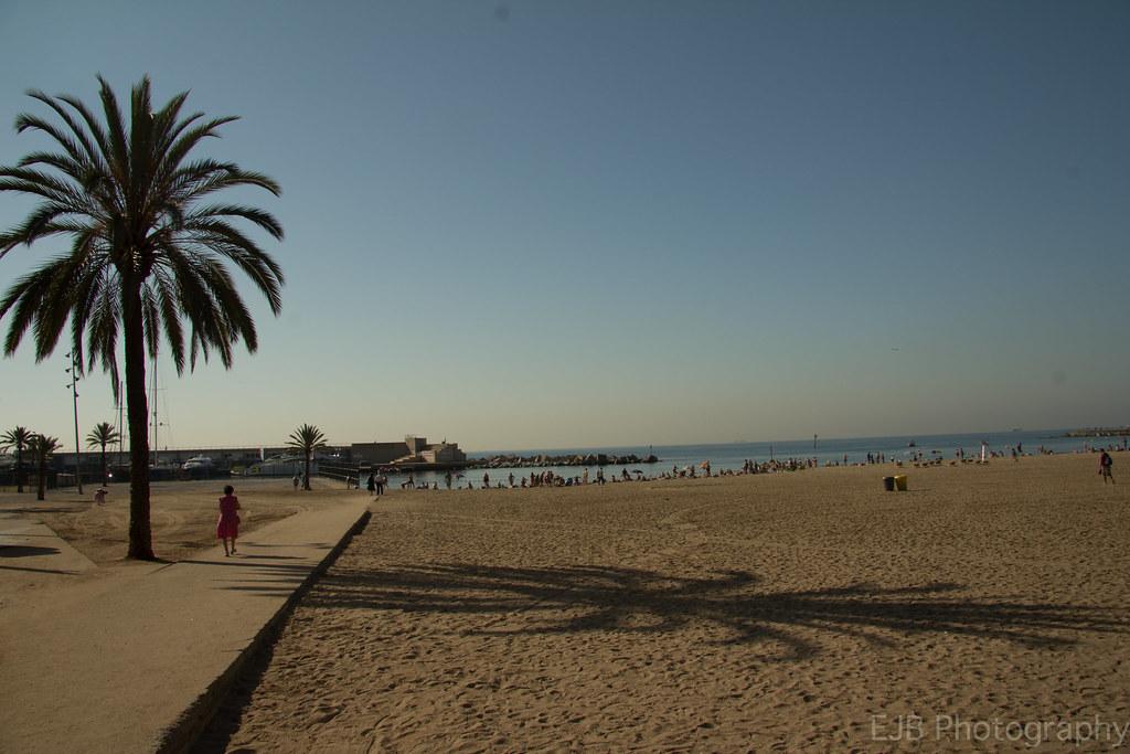 Barceloneta Directs Coordinated Investments Toward Housing and Infrastructure Upgrades