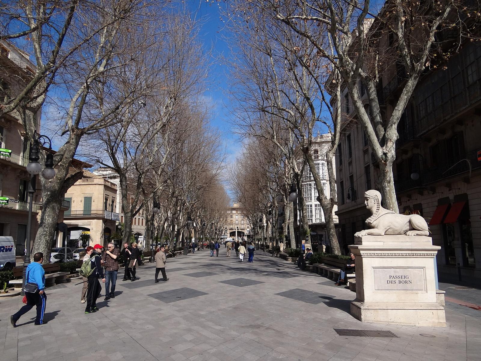 La Llotja Born, Palma, Illes Balears, Spain panoramio (11)