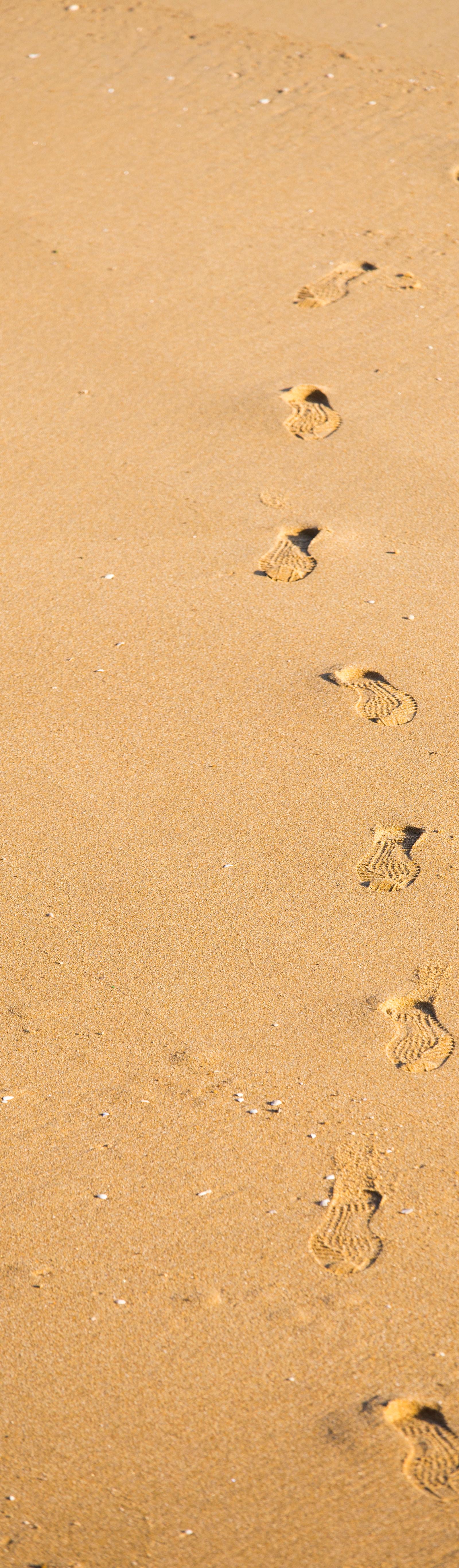 Households Cut Carbon Footprint With Five Sustainable Habit Changes