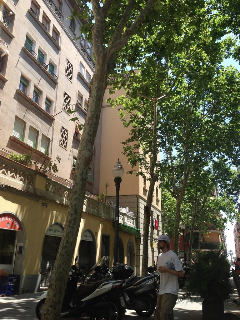 Barceloneta Cuts Transit Fares for Lower-Income Households Starting Soon
