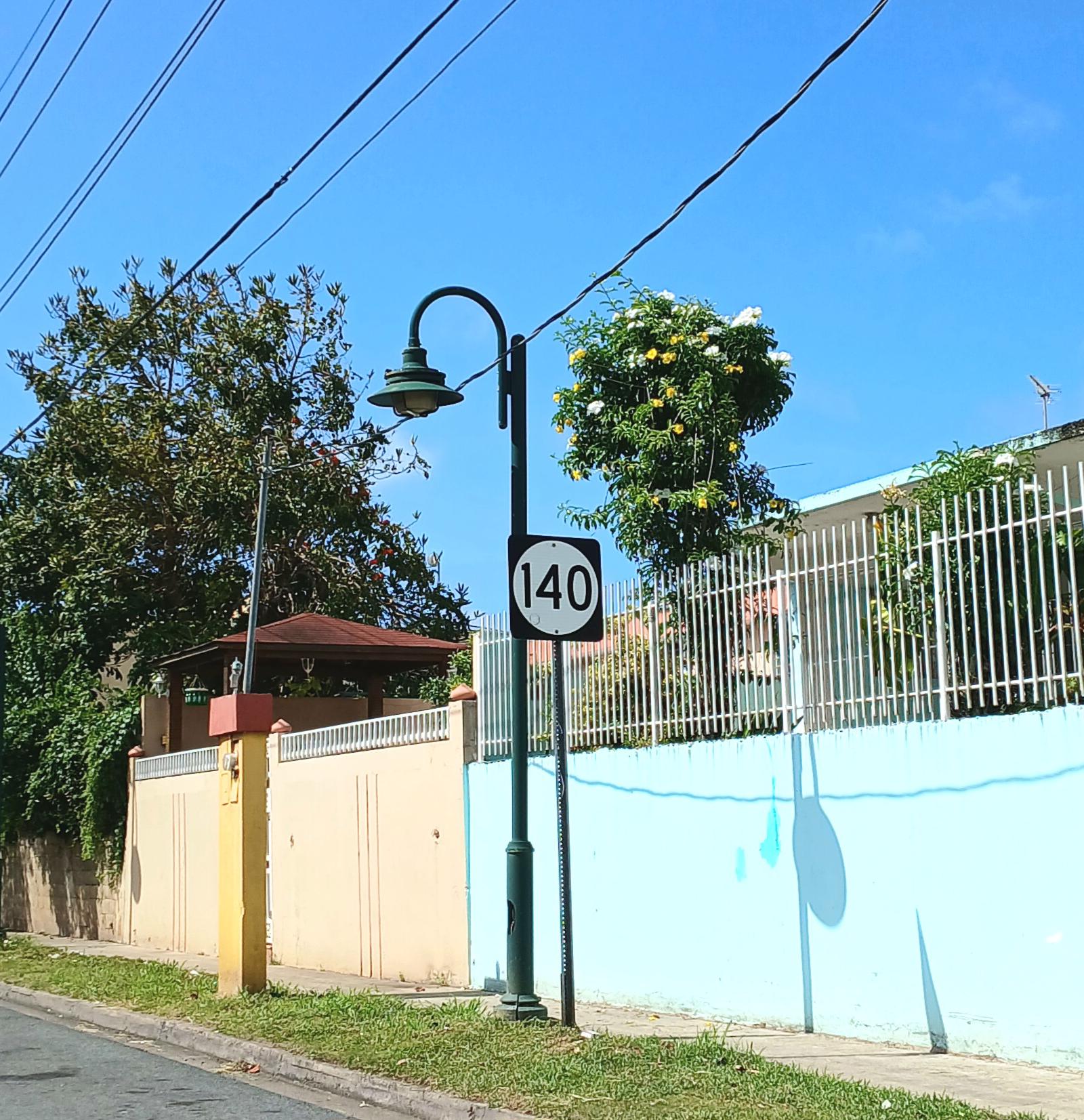 Carretera PR 140, Barceloneta, Puerto Rico (3)